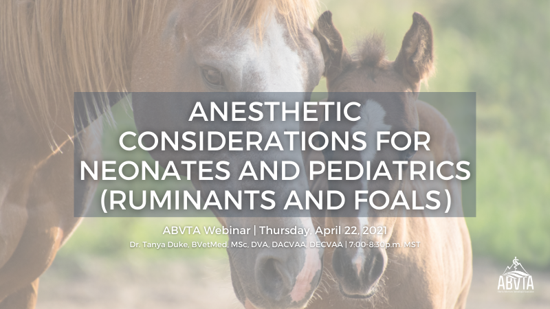 Anesthetic Considerations For Neonates And Pediatrics (Ruminants And ...